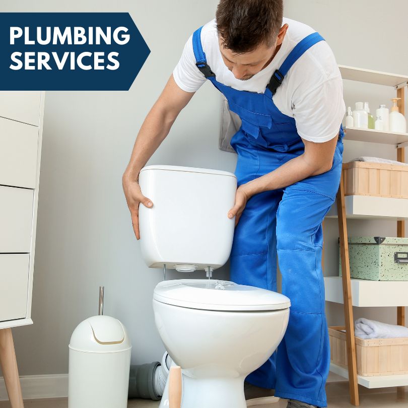 Plumbing Company in Lutz, FL